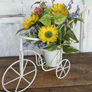 Tricycle Planter