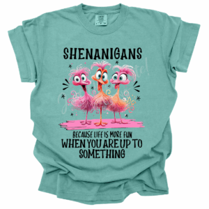 Shenanigans Short Sleeve Adult Tee - Comfort Colors
