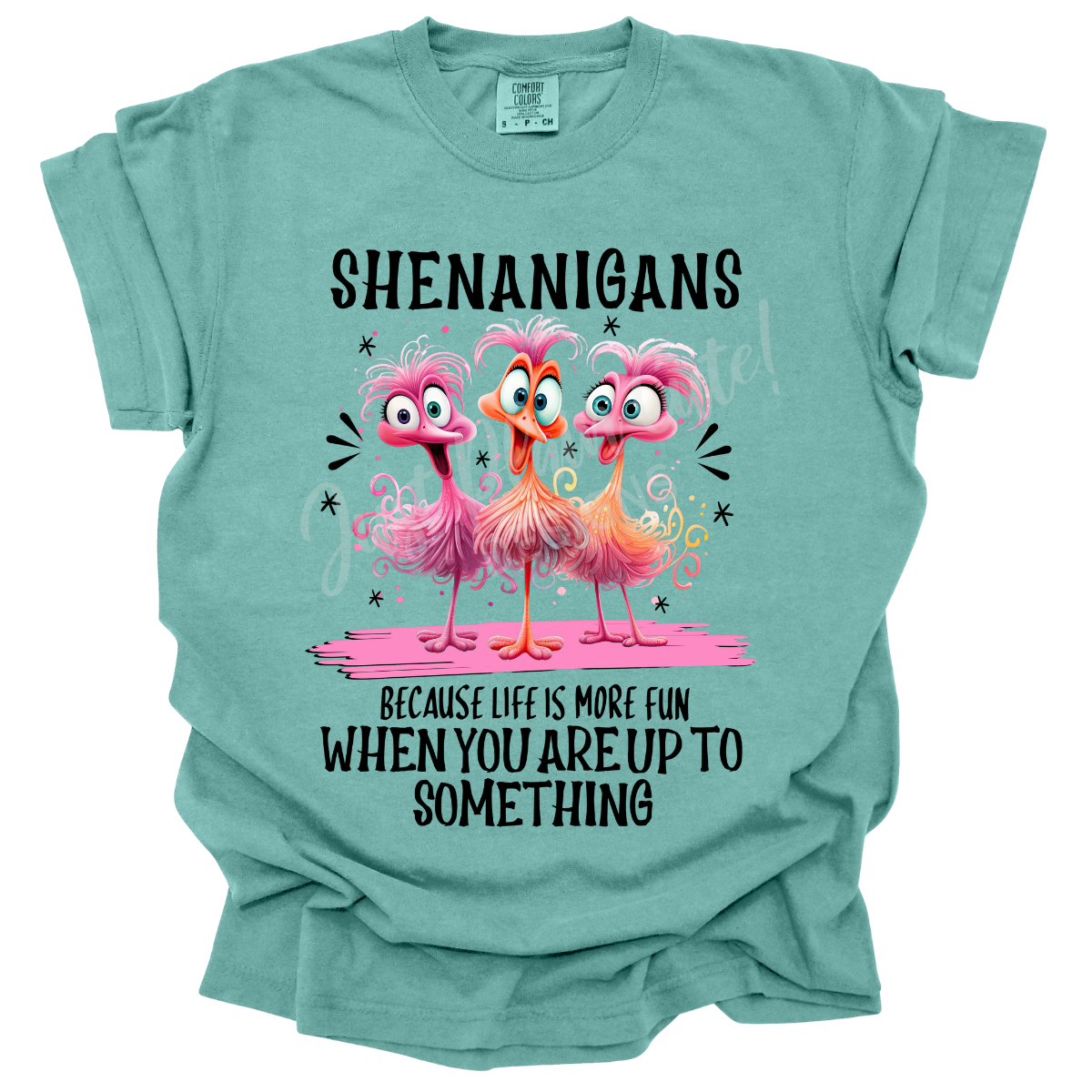 Shenanigans Short Sleeve Adult Tee - Comfort Colors